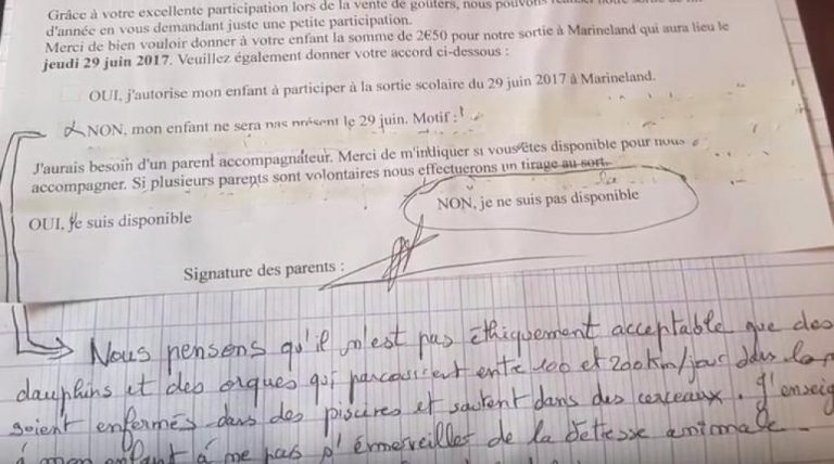 raison cool