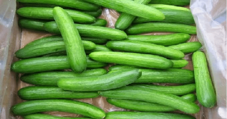 260