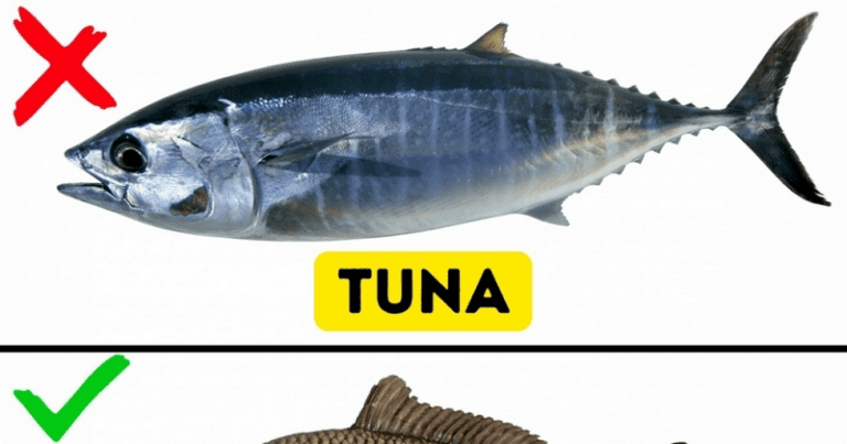 620