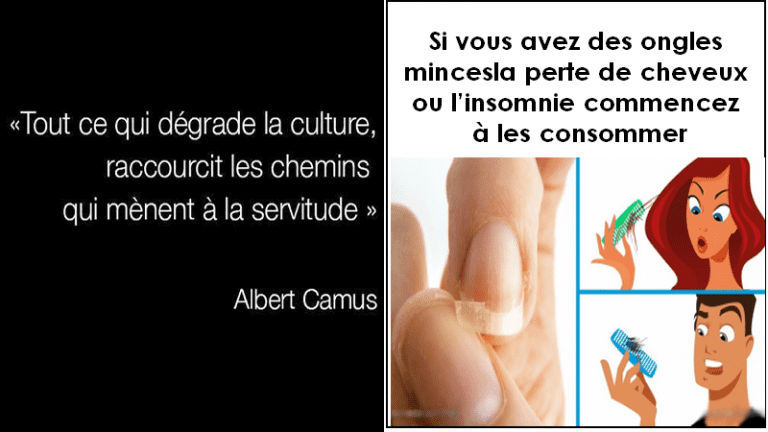 albert