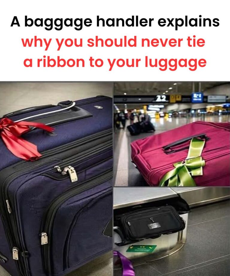 baggage-airline
