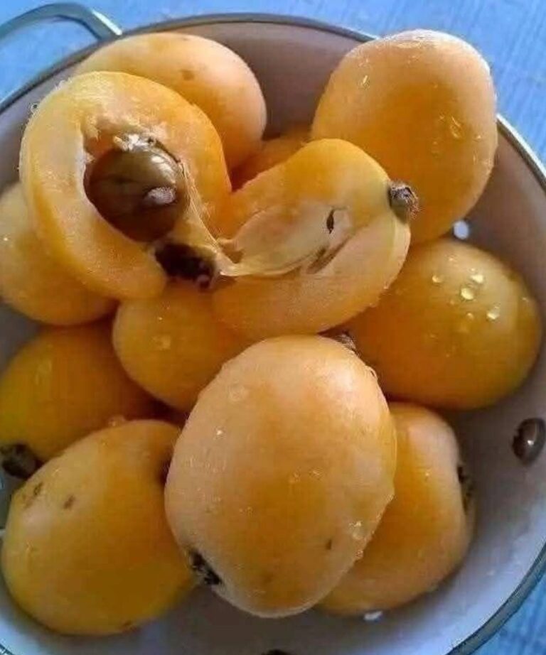 homemade-fruit-store