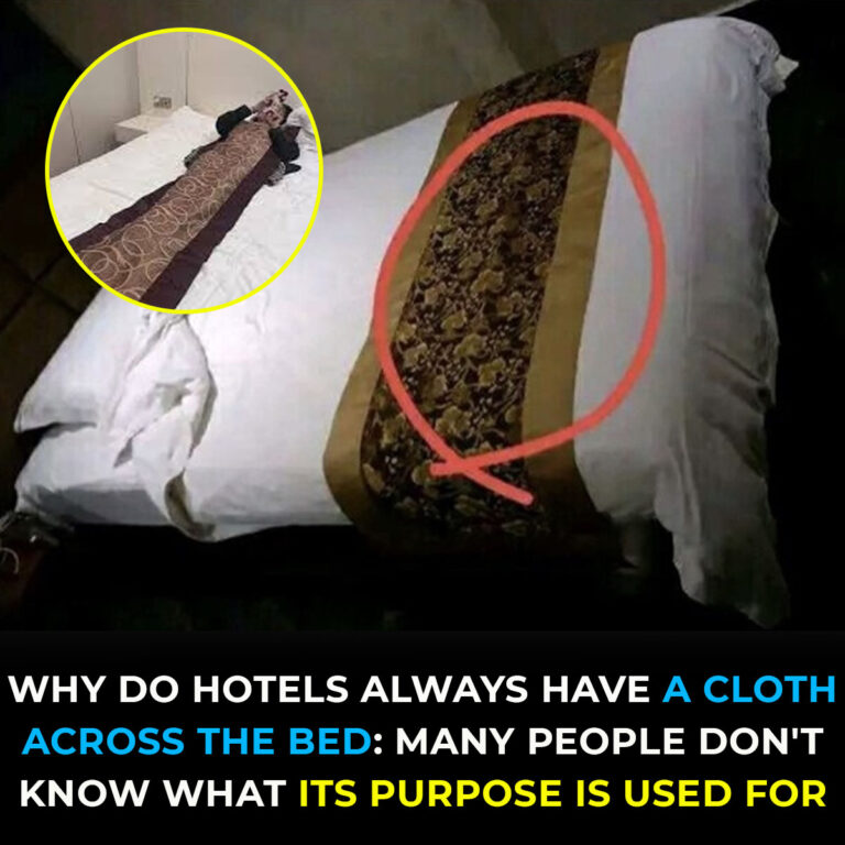 hotel-room-bed-cloth