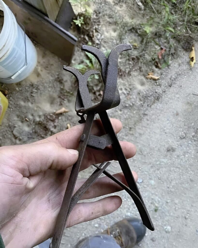 I discovered a metallic object in my grandparents’ garden and was amazed to learn what it was