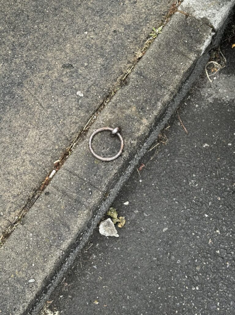 ring-horse