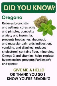 OREGANO BENEFITS