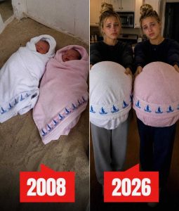 WRAPPED